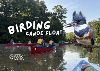 birding canoe float at chilo